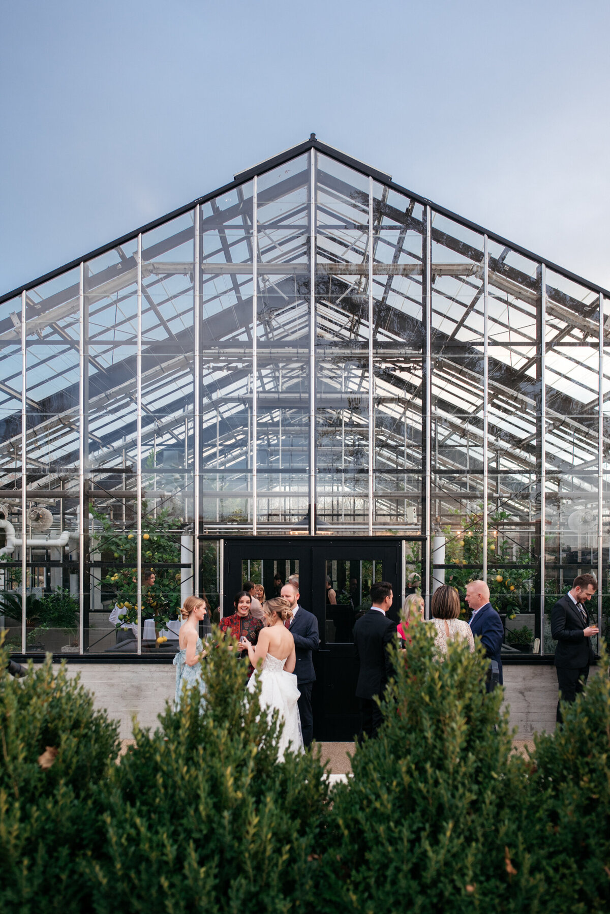 Cocktail hour for a wedding at a greenhouse