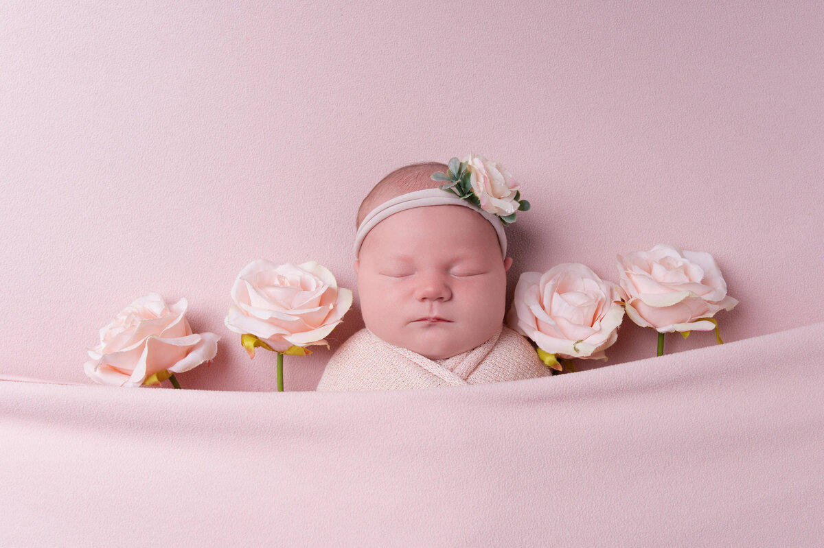 pretoria-newborn-photographer210
