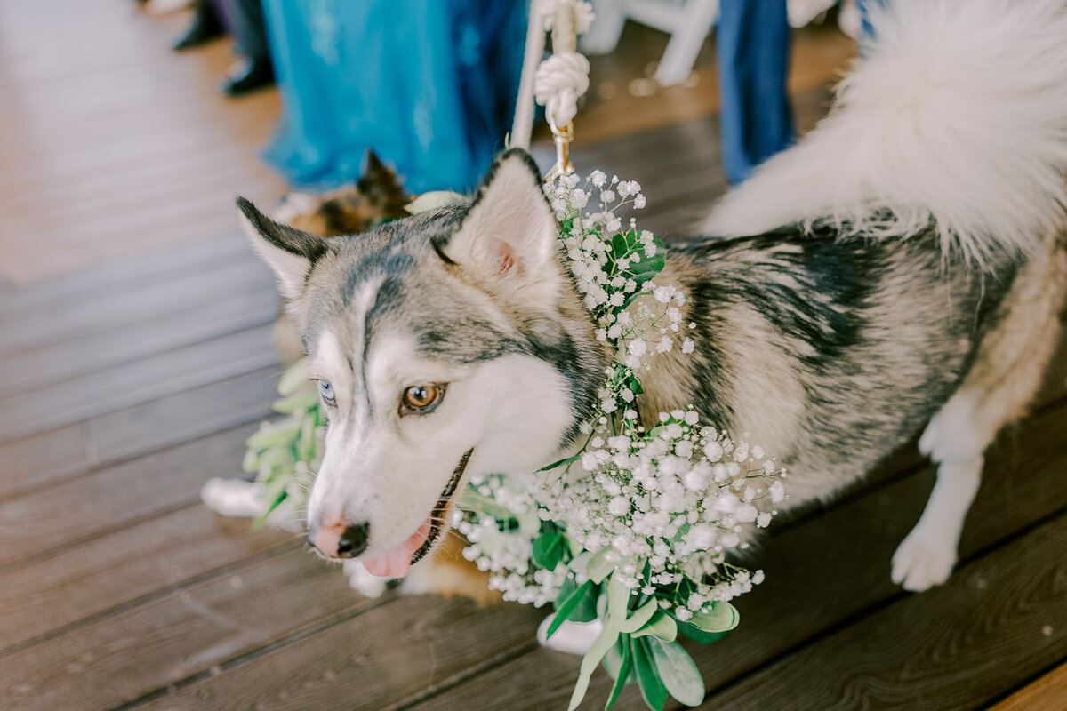 JKwedding-557_websize