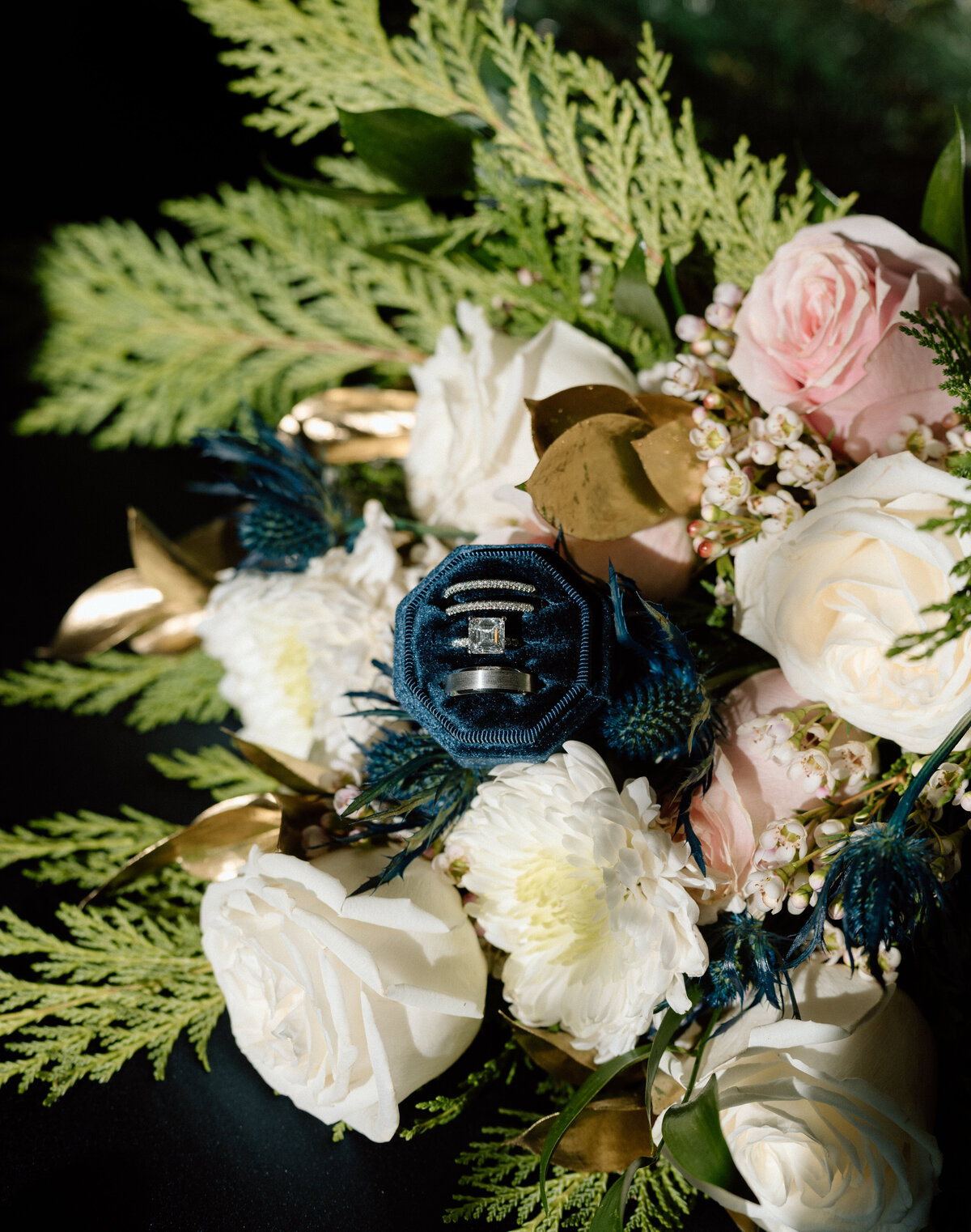 curiouscourtneyphotography347