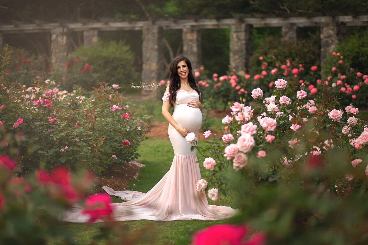 Expectant mother surrounded by pink roses by Susan VanNess Photography, a Raleigh maternity photographer