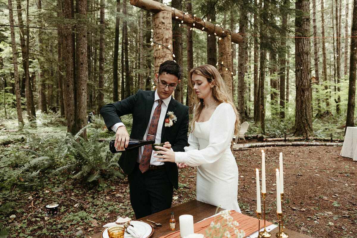 MtRainierSmallWedding-DallinHazard-401