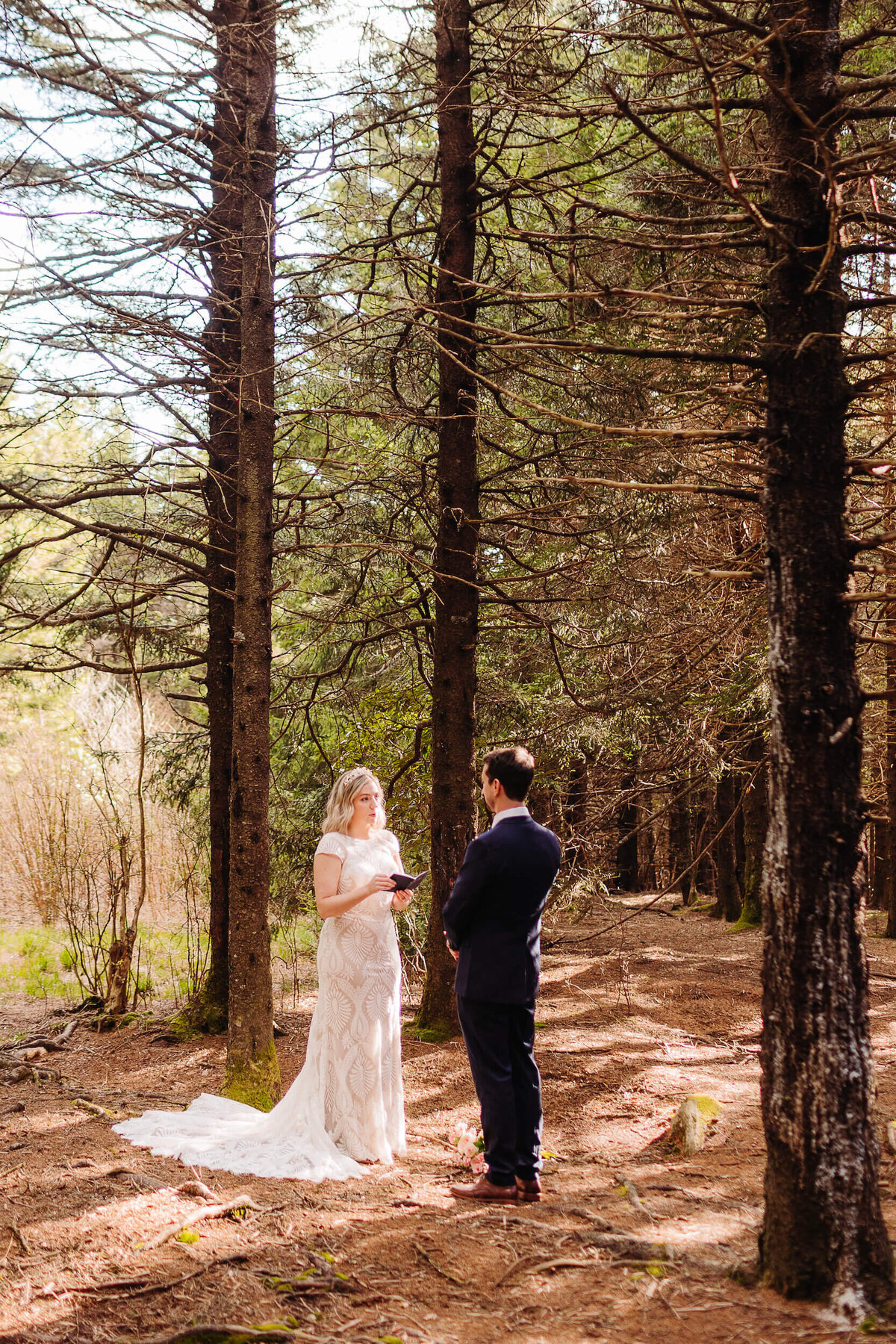 Black-Balsam-NC-Elopement-58