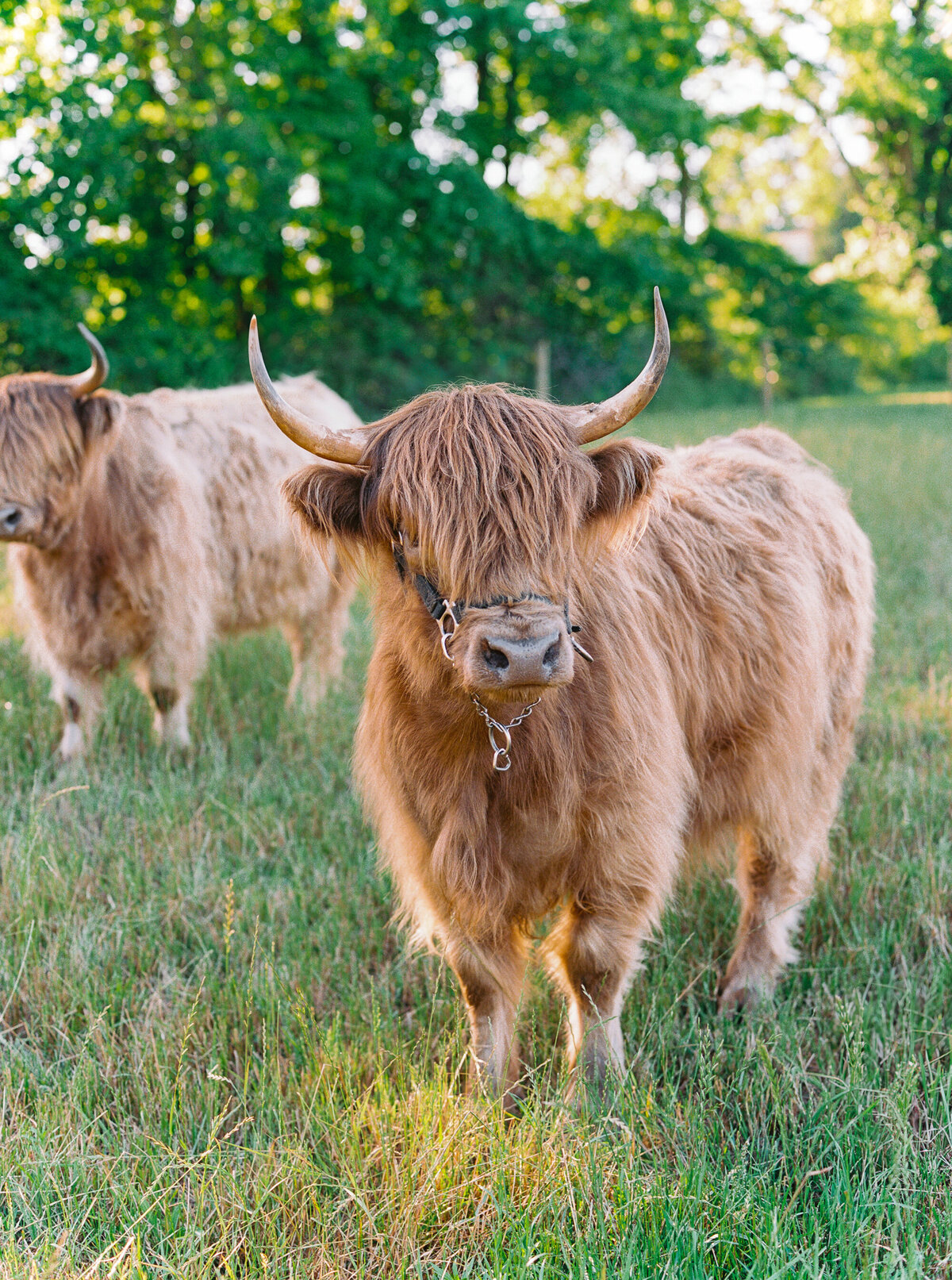 Bride&Groom,Part2_Madison&JoeWedding2025-4