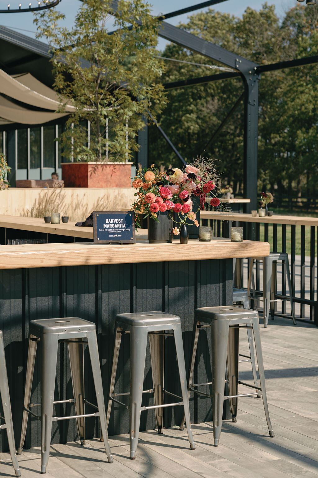 Special-Event-Planner-Bluegrass-Music-Festival-Virginia-0039