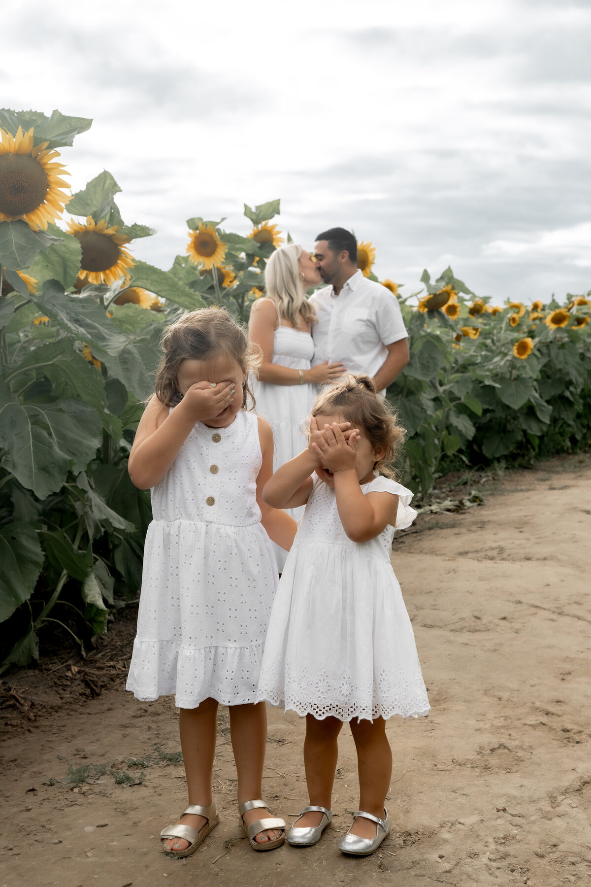 Sunflower Minis - Nadine-19