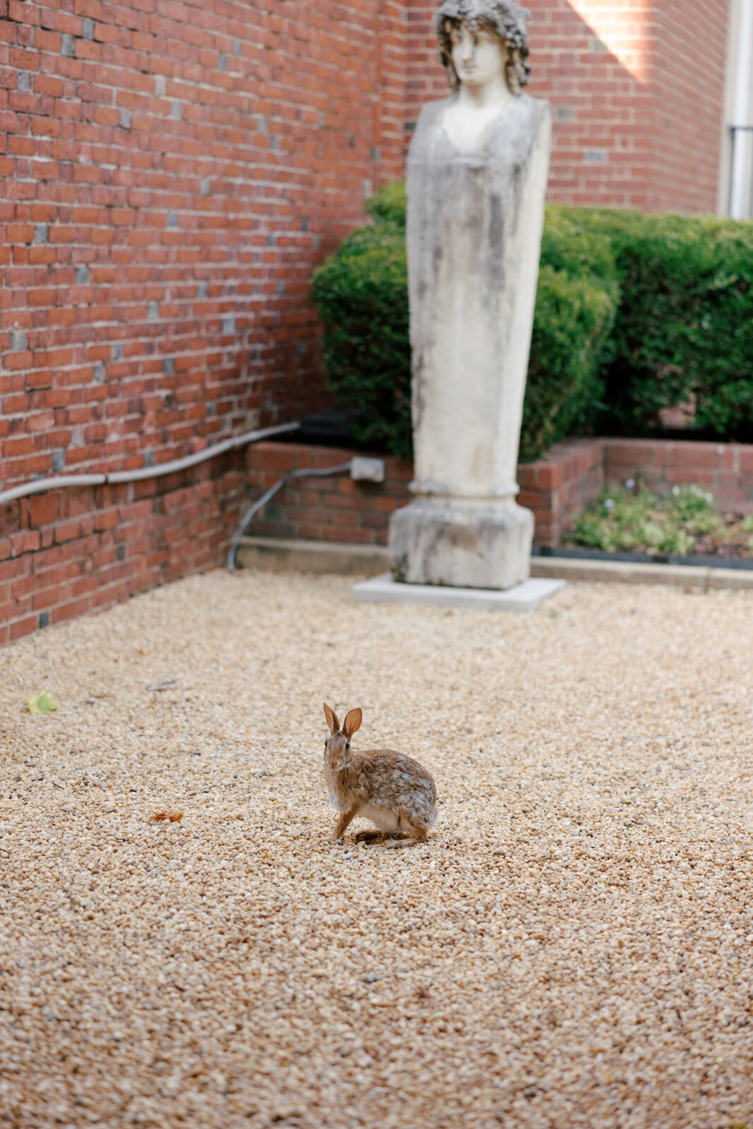 abigail+daniel-meridian-house-washington-dc-0360