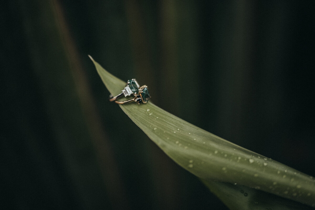 Garfield-Conservatory-Elopement-Chicago-Photographer-Queer-Affirming-113