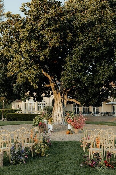 Chateau St. Jean Sonoma Wedding Ceremony with Rachel C Photography3