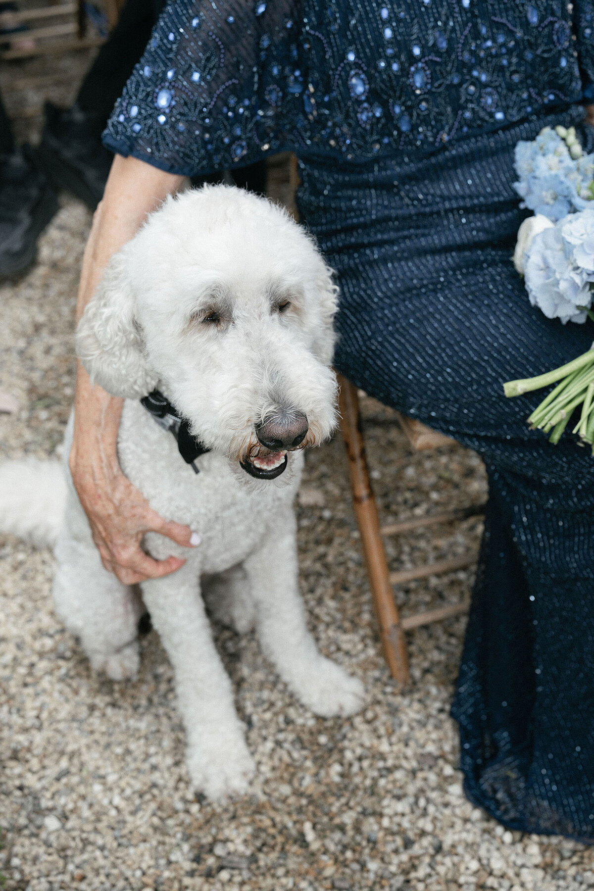 Château Hermitage de Combas Wedding