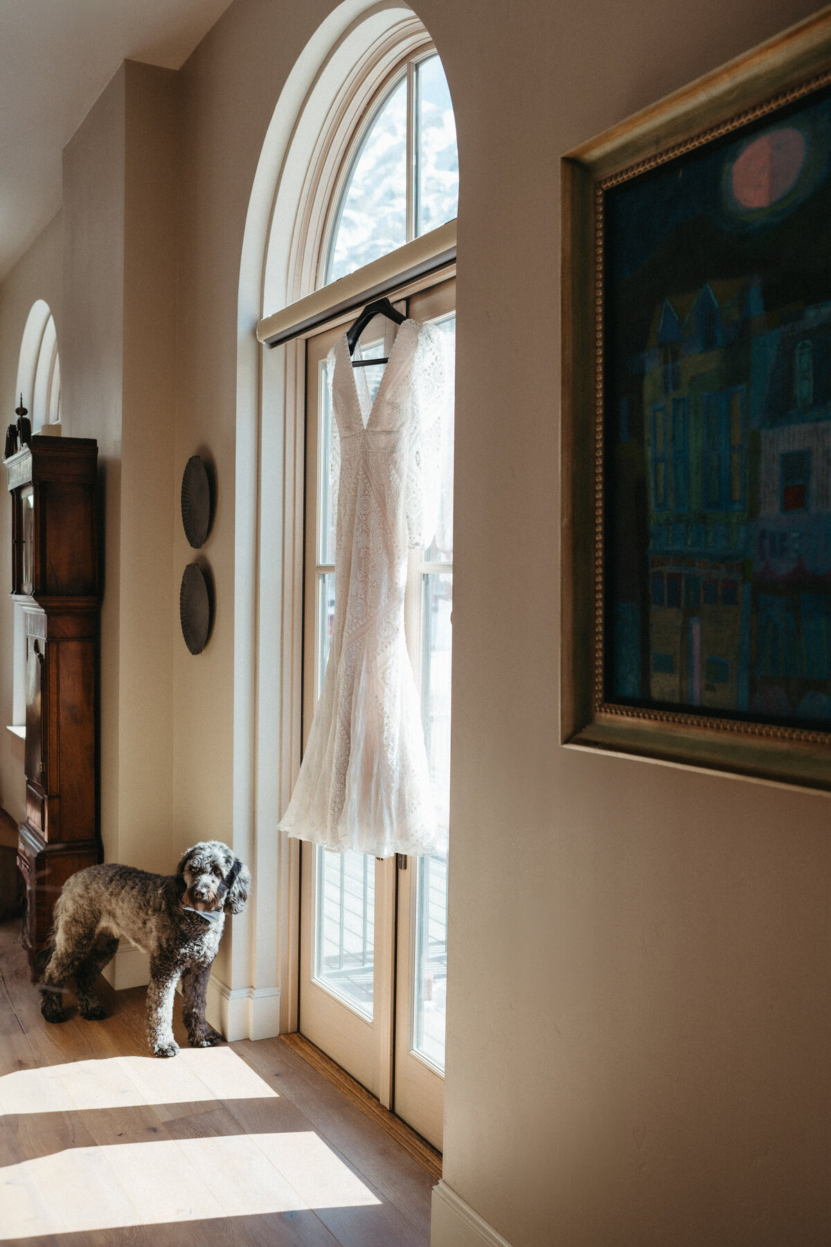 Sam-Murch-Photography-Ouray-Winter-Elopement-with-dog-19