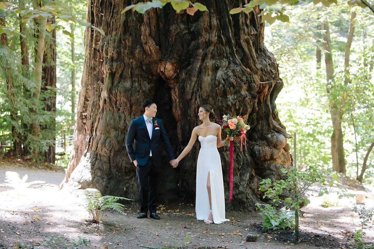 A bride and groom stand in front of a large sequoia redwood tree in Big Sur on their wedding day in California bay area