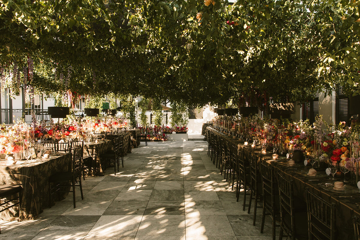 olivia-william-418065