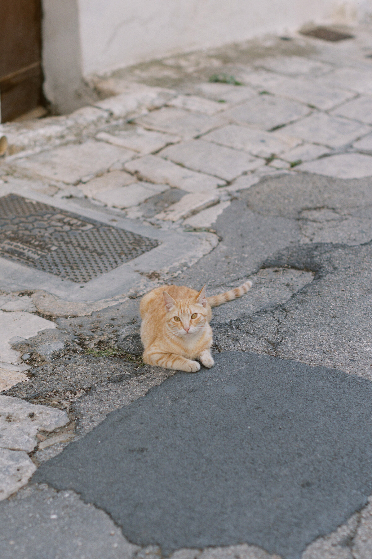 italy-travel-olive-and-oath-83