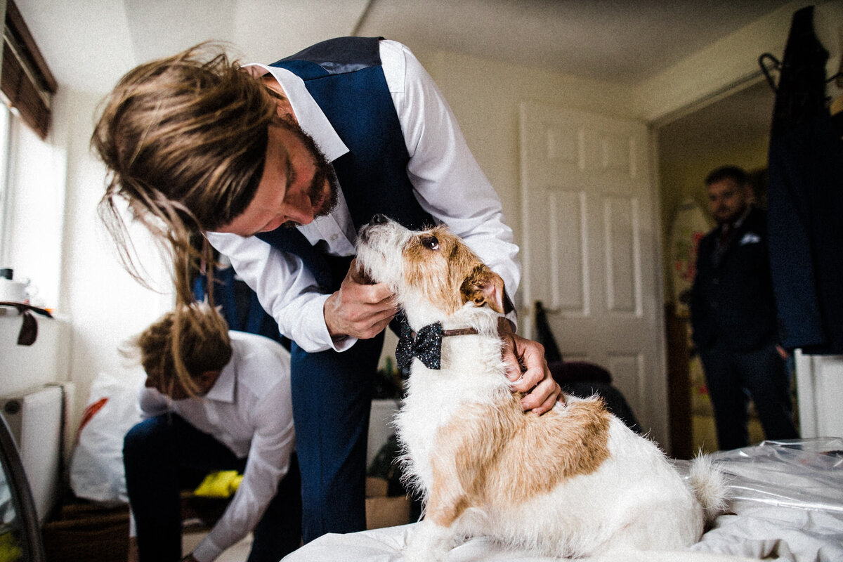 TTWWR-Animals-at-weddings-2048-28