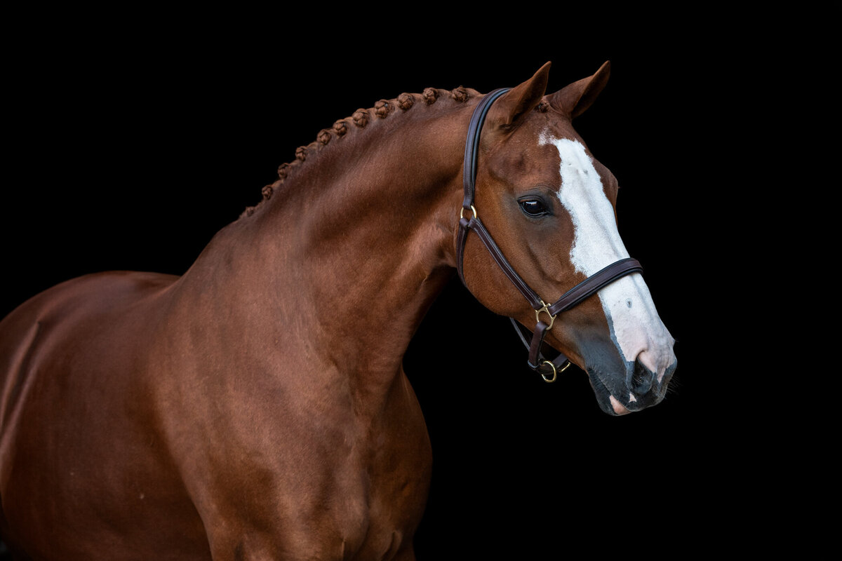 Regien_12082022_035
