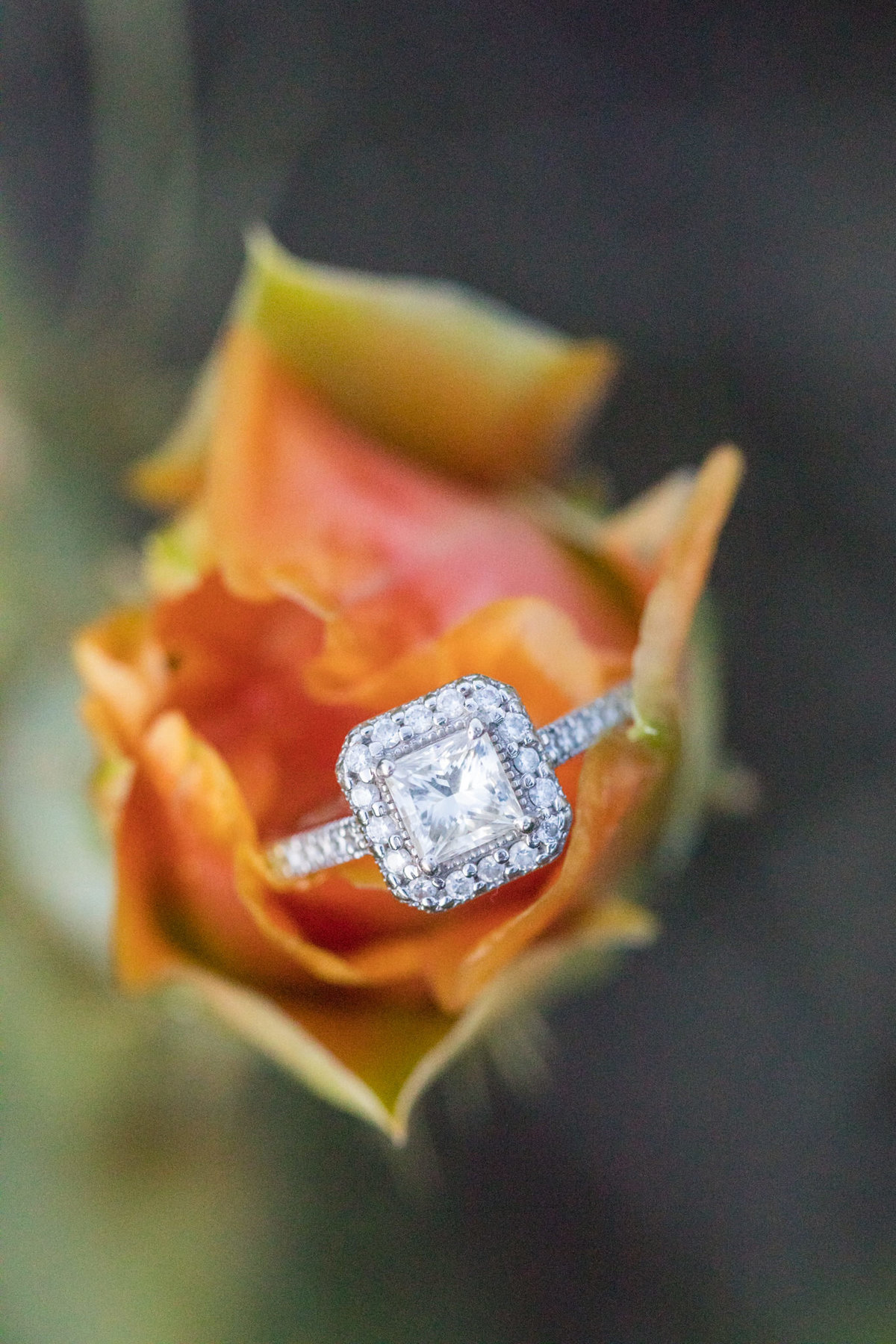 Engagement-Session-At-Canyon-Lake-0036