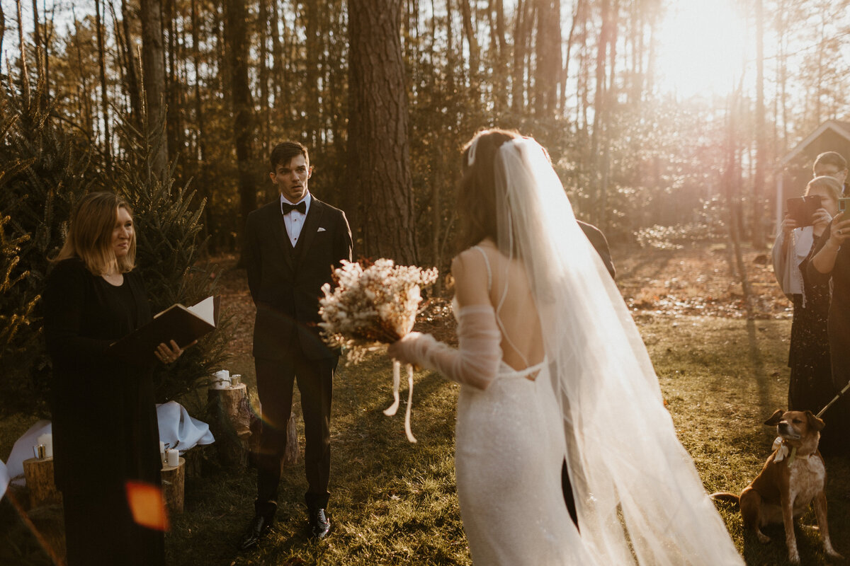 Vintage Wedding Photography packages