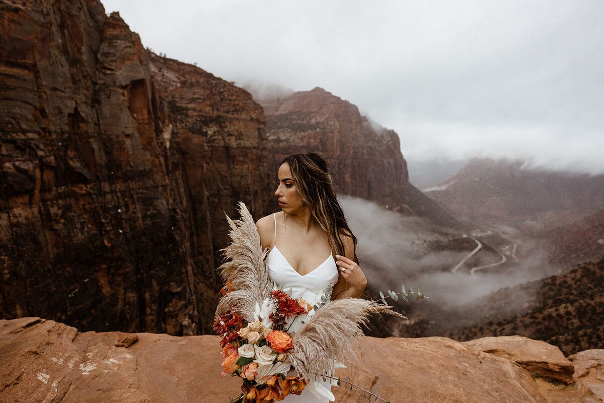 ZionSnowCanyon-dallinhassard-1574