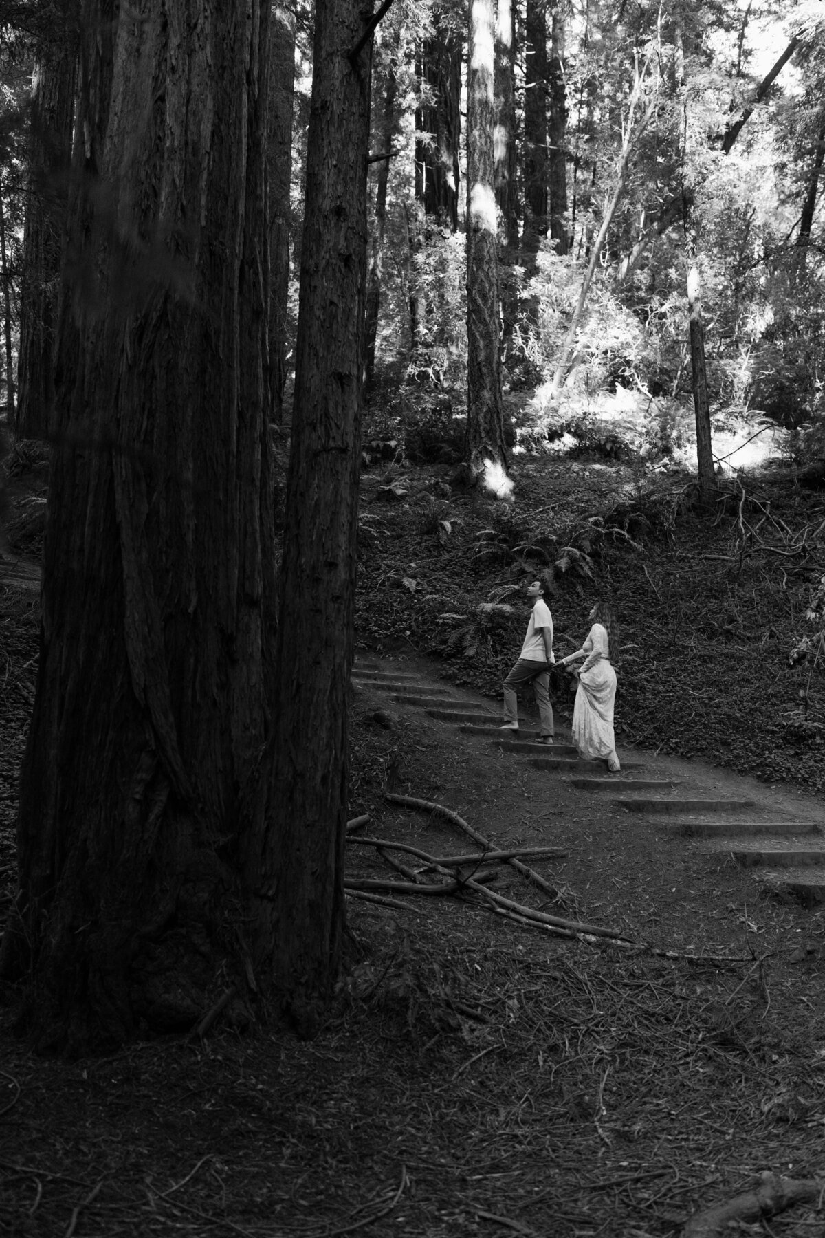 Redwoods-Elopement-85