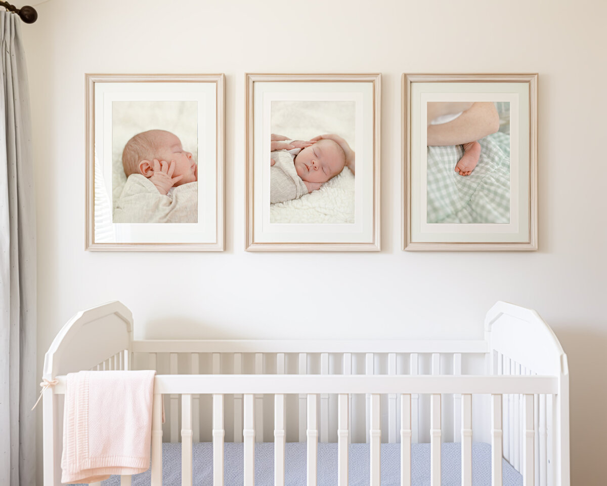 AdobeStock_Fortner-Nursery2