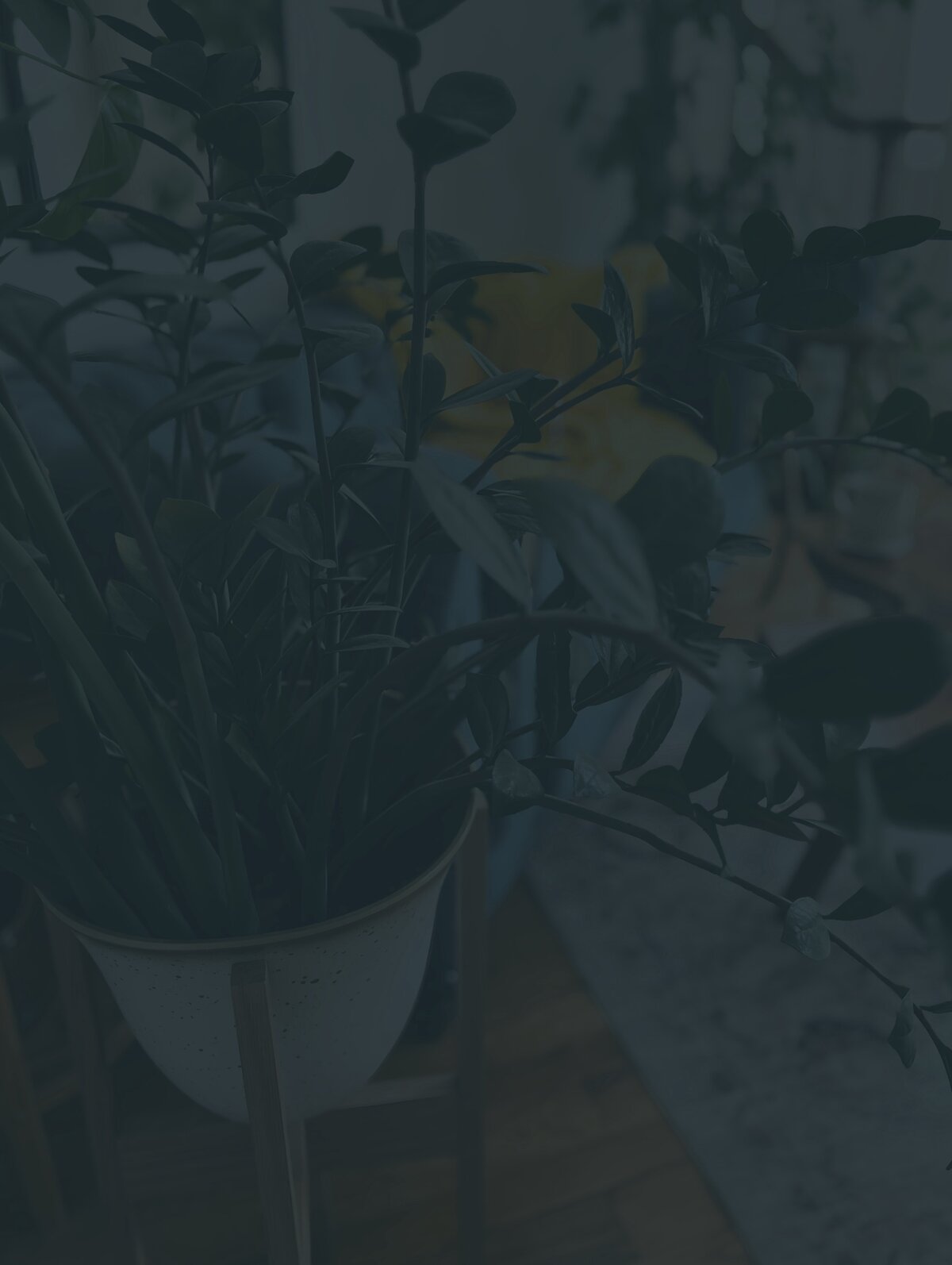 Studio plant at Grassroots Creative Company representing growth and creativity for the Sprout & Shop design offers page.