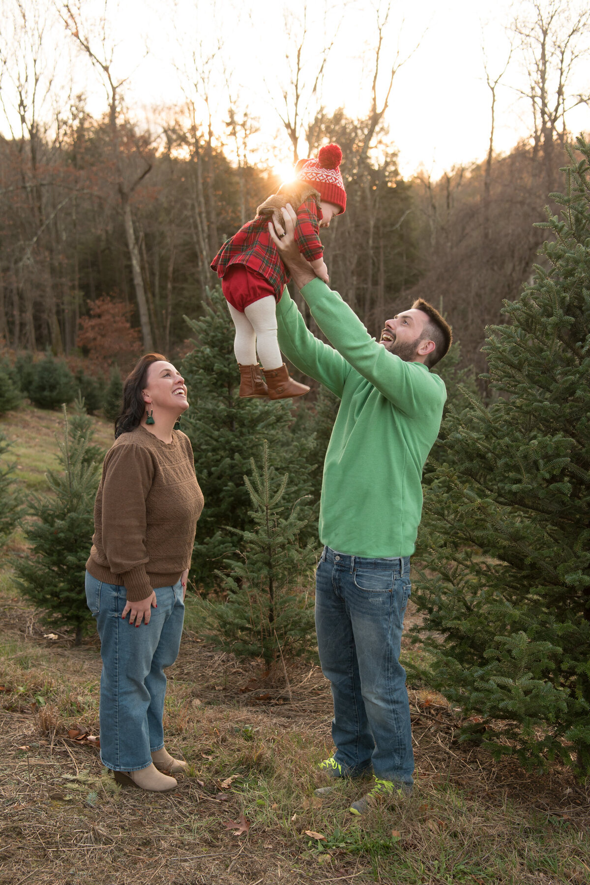 Father holding up daughter at Christmas tree farm at sunset