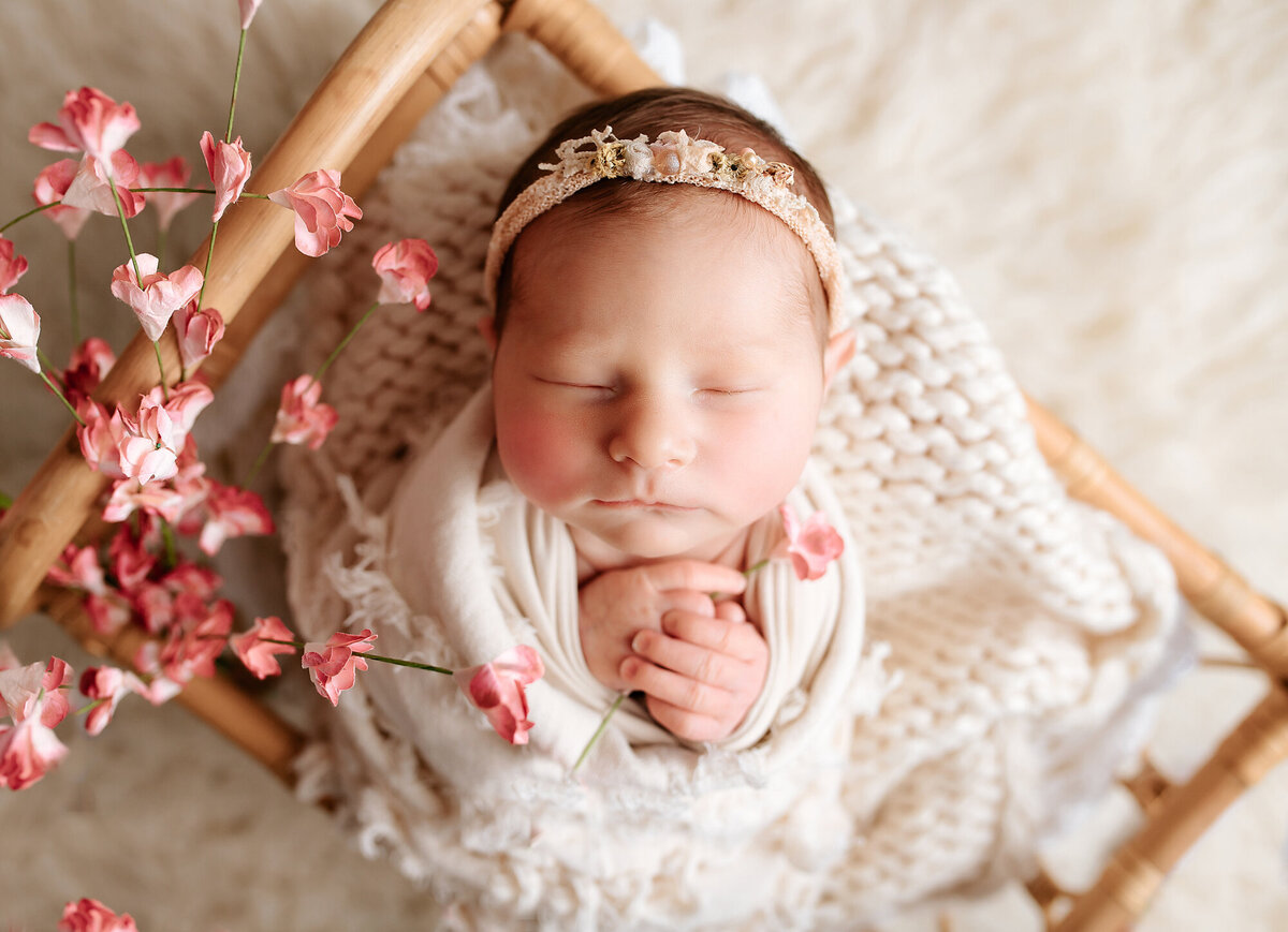 Newborn portraits in Roxbury NJ