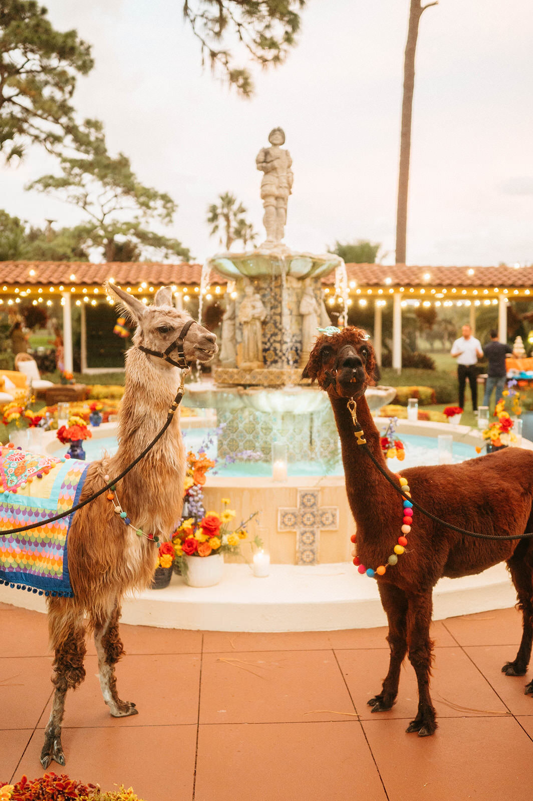 Central Florida Wedding Association Summit Event