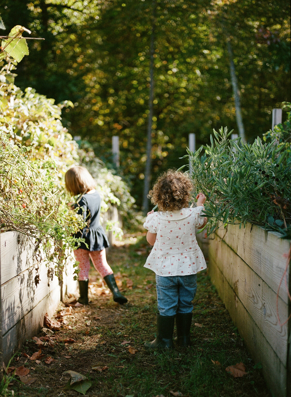 Imhof Family-23
