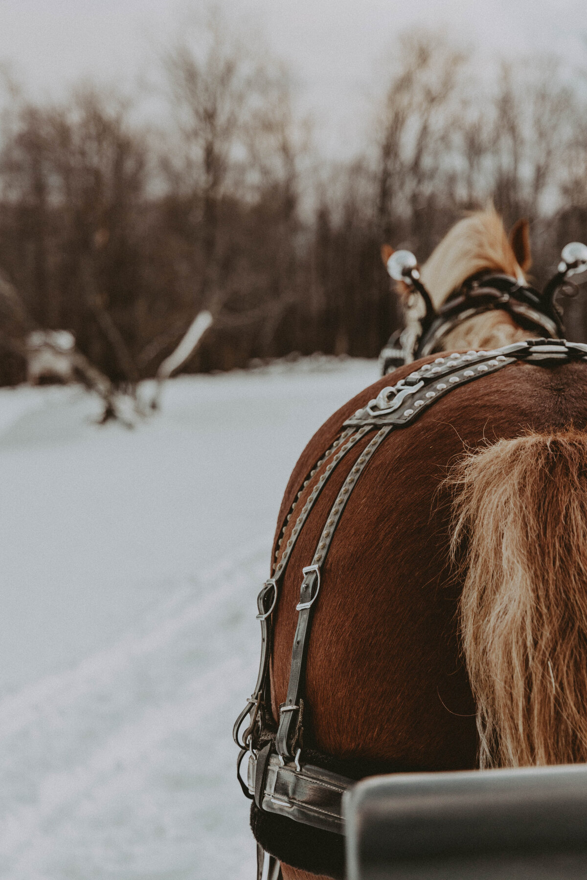 CG-BlevinsWedding-57