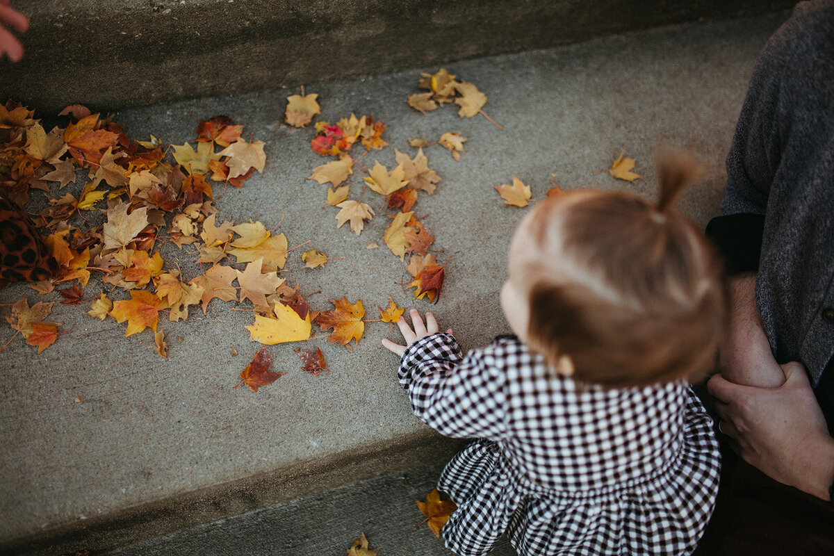 The Holland Family Photos-8099