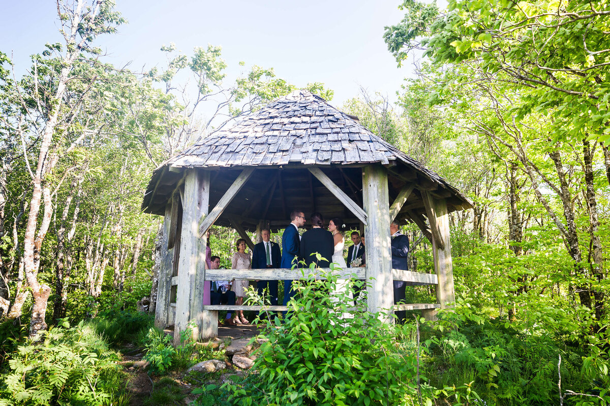 Craggy-Gardens-NC-Elopement-25