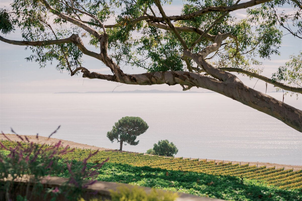 Palos-Verdes-Wedding-Planner9