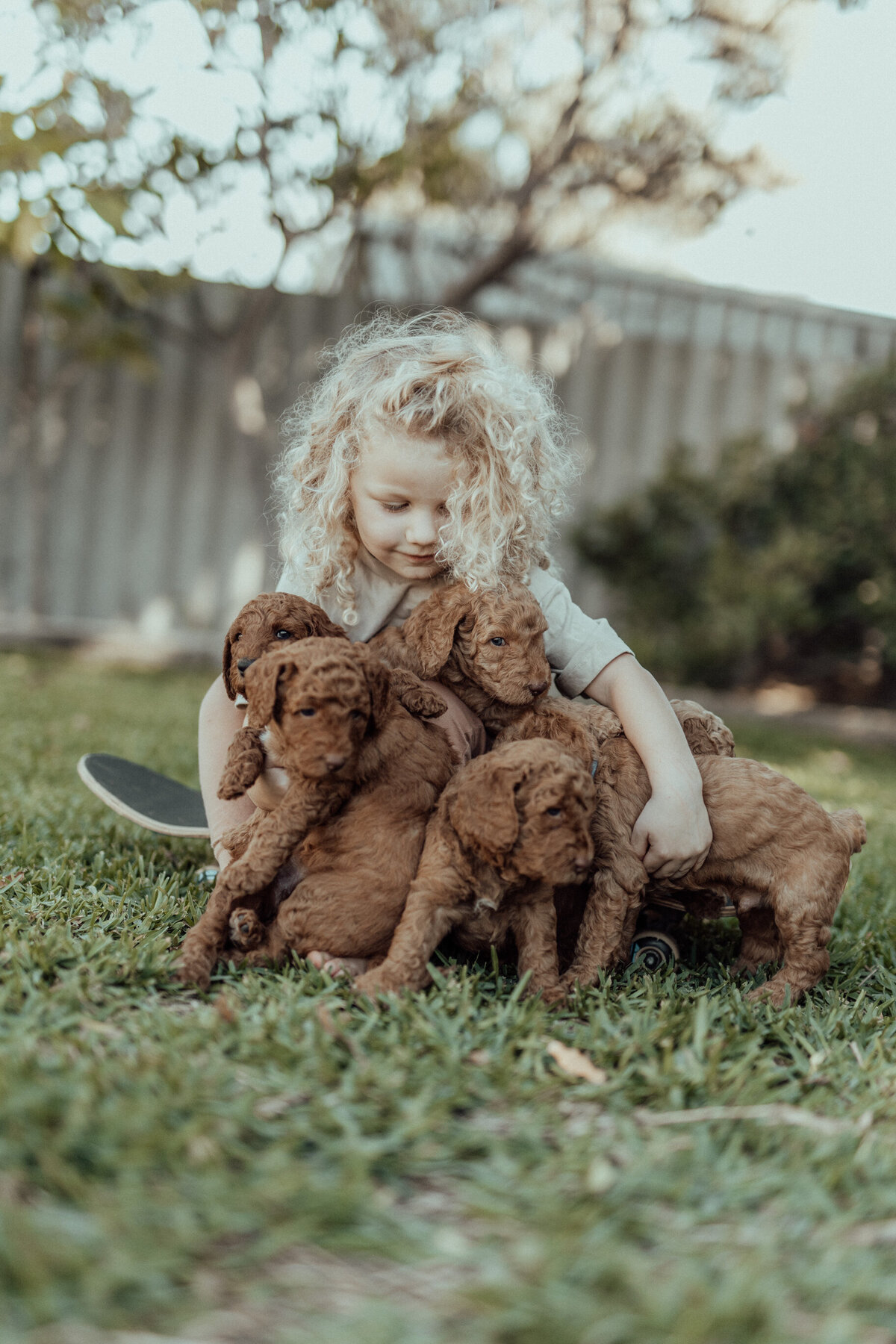 the-lifestyle-phodographer-perth-family-pet-photographer-litter00002