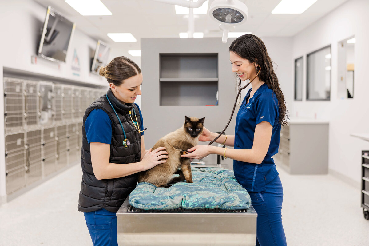 headshot-photographer-branding-photography-bend-or-90