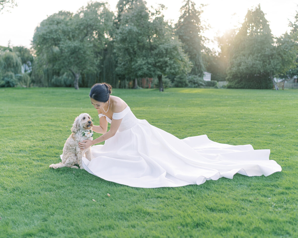 Bride and dog at countryside wedding