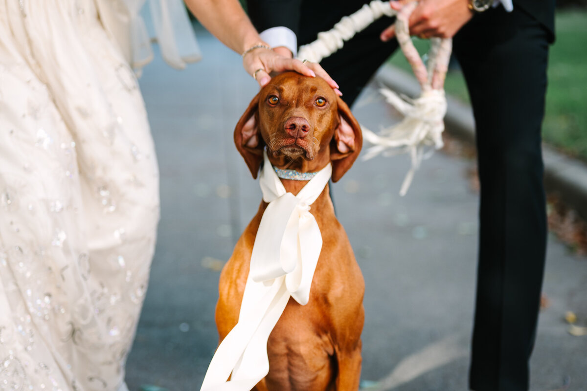 Mallory & Simon Wedding_134