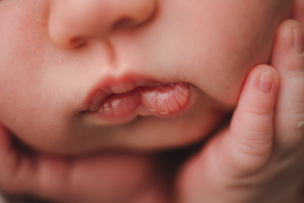 newborn-photographer-near-me-mukwonago-wisconsin-munchkin-moments-by-stephanie