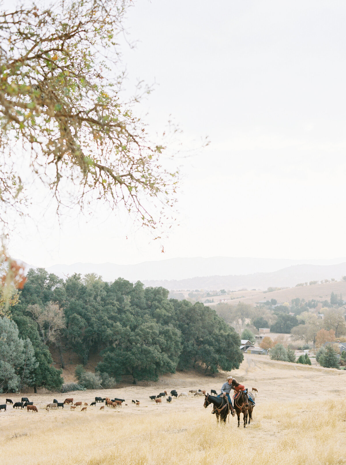 Morgan_Warren_Paso_Robles_Engagement_Session_004