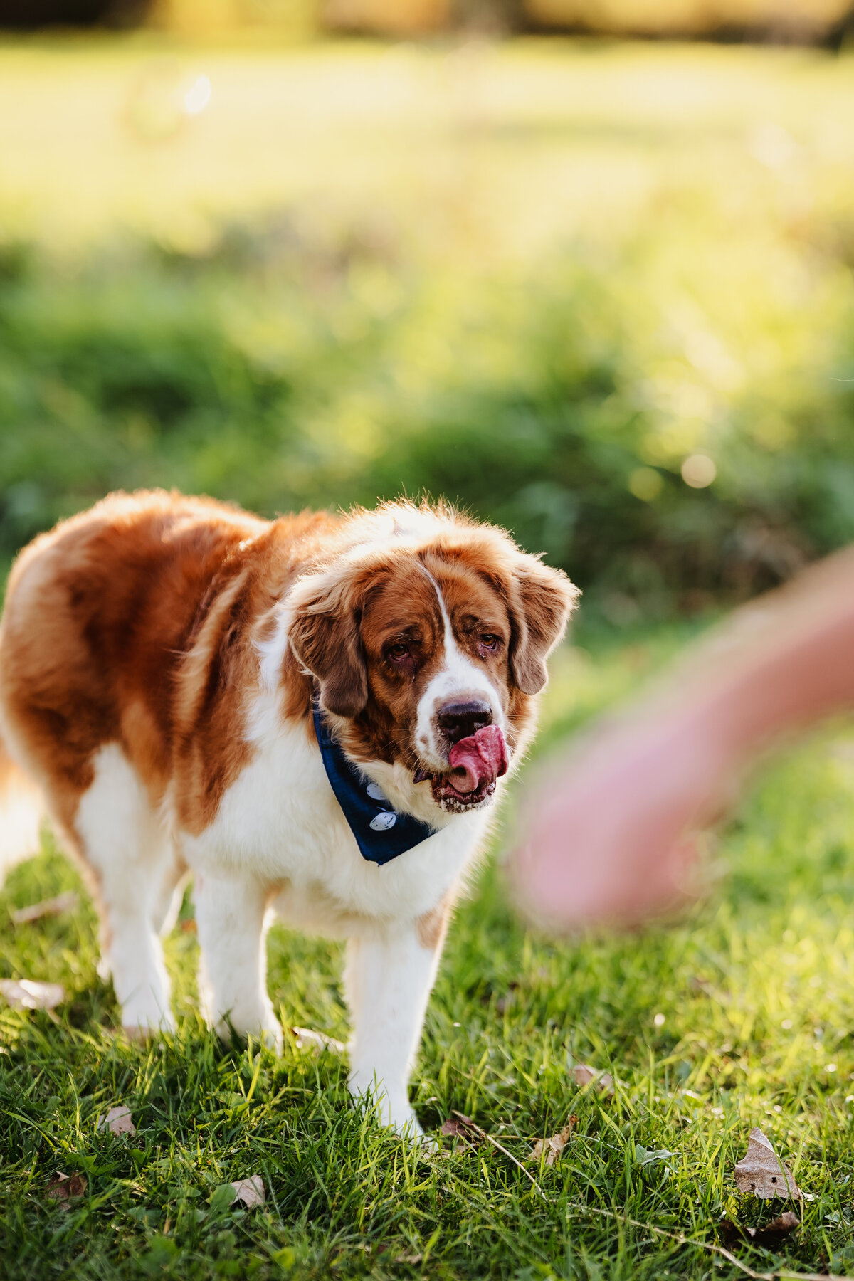 NicoleS_Fall2025_023