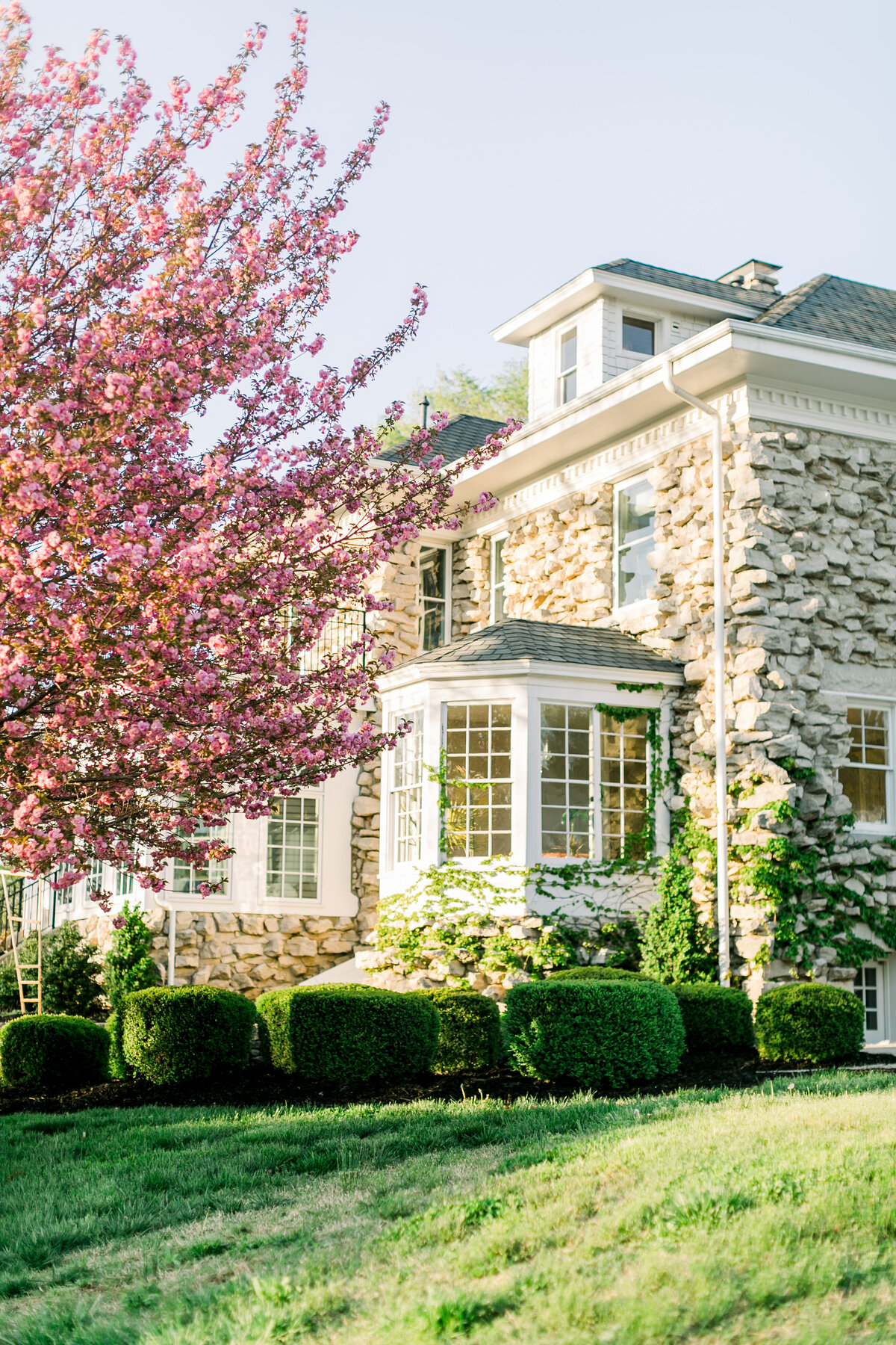 haseltine-estate-in-springfield-mo-in-springtime-blooming-pink-tree-with-european-style-wedding-venue-by-springfield-mo-wedding-photographer-kathryn-faye-photography