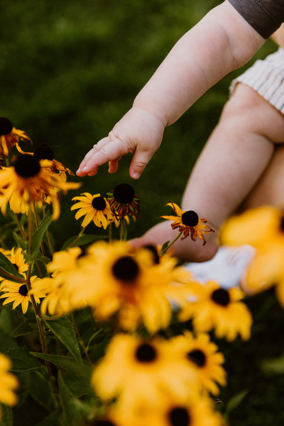 FamilyAndCouples_ScheelStudios_84