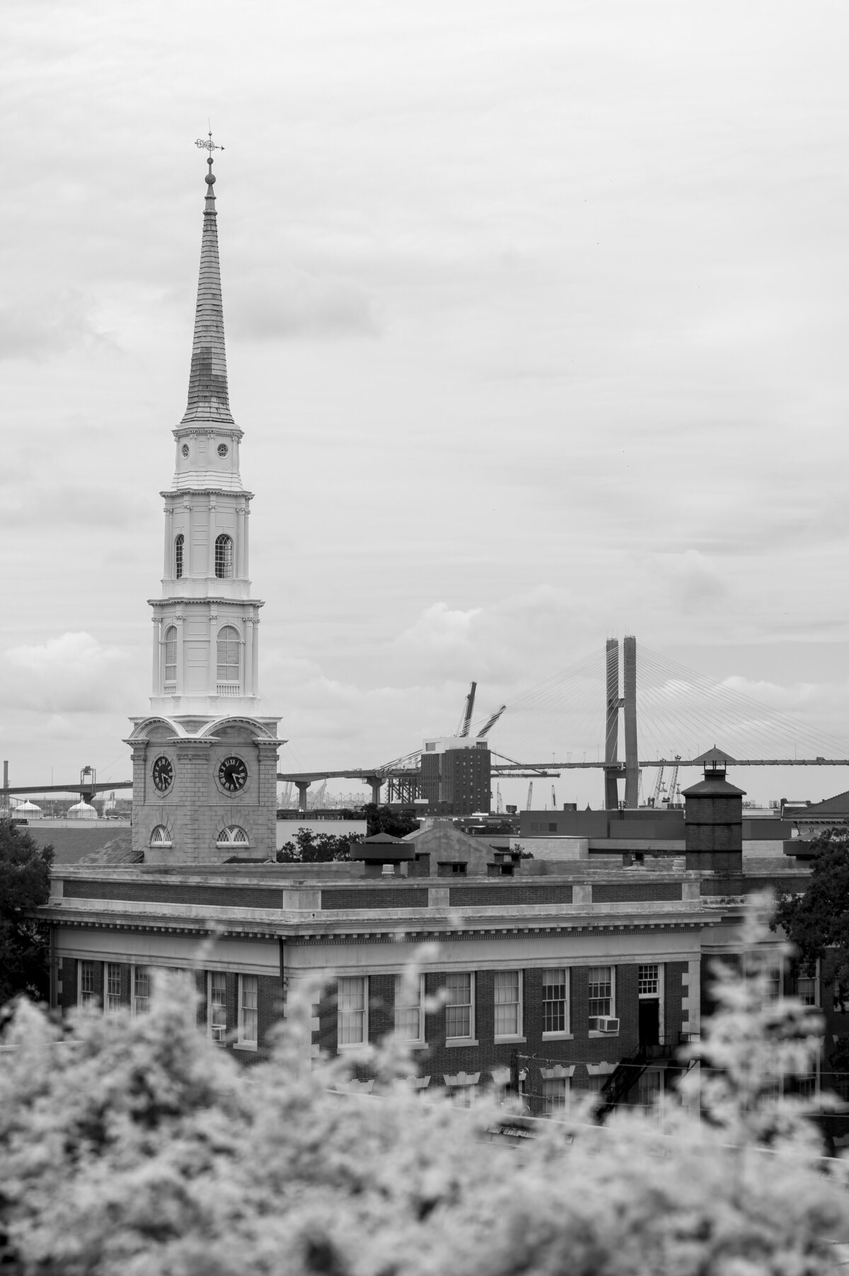 Savannah Georgia Wedding Photographer