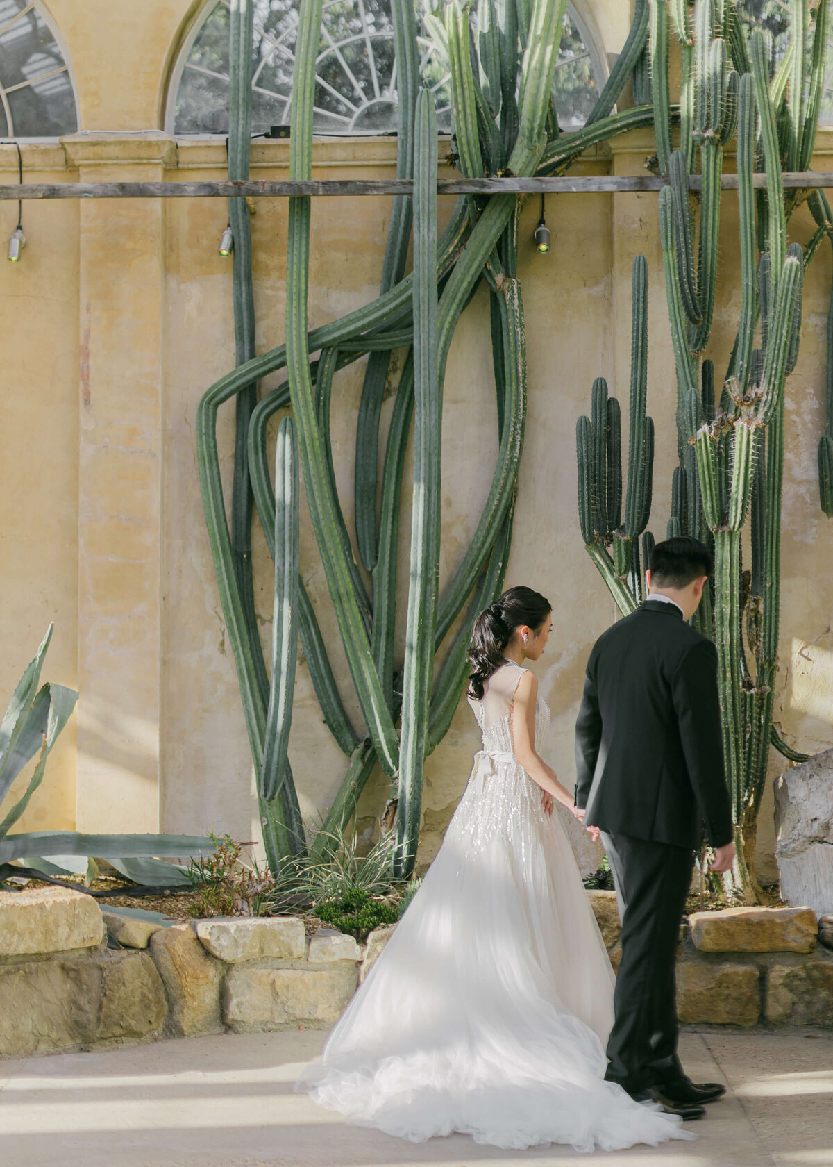 chloe-winstanley-weddings-syon-park-elie-saab-conservatory-cactus