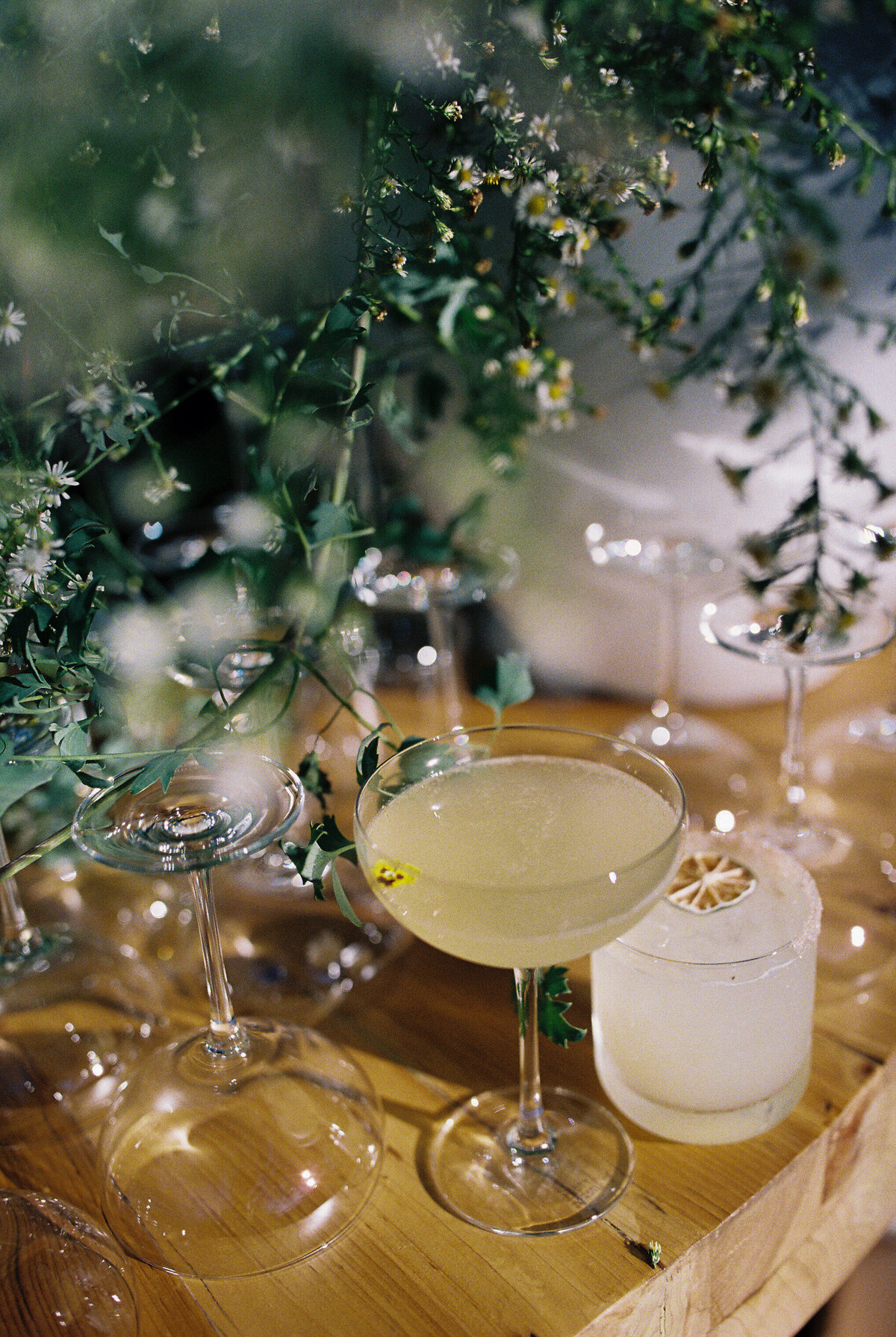 santa lucia preserve wedding photographer-45