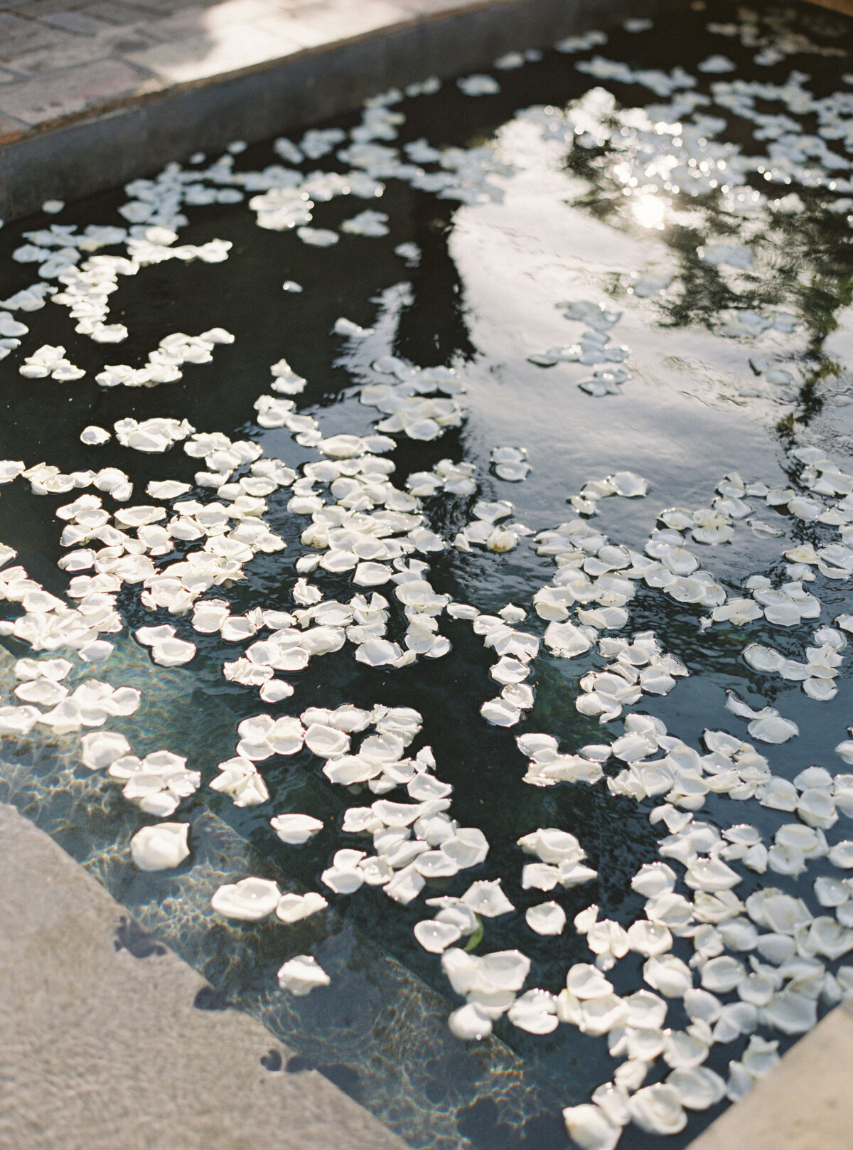 Tortorella-Preview-New-Orleans-Film-Wedding-Photographer-Race-and-Religious-78