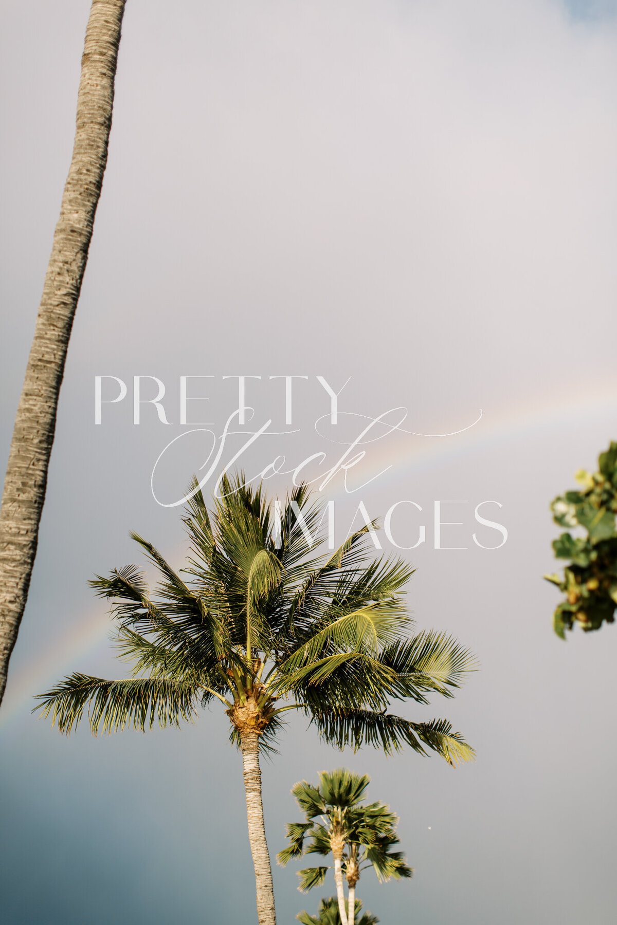 Pretty Stock Images - Hawaii-50