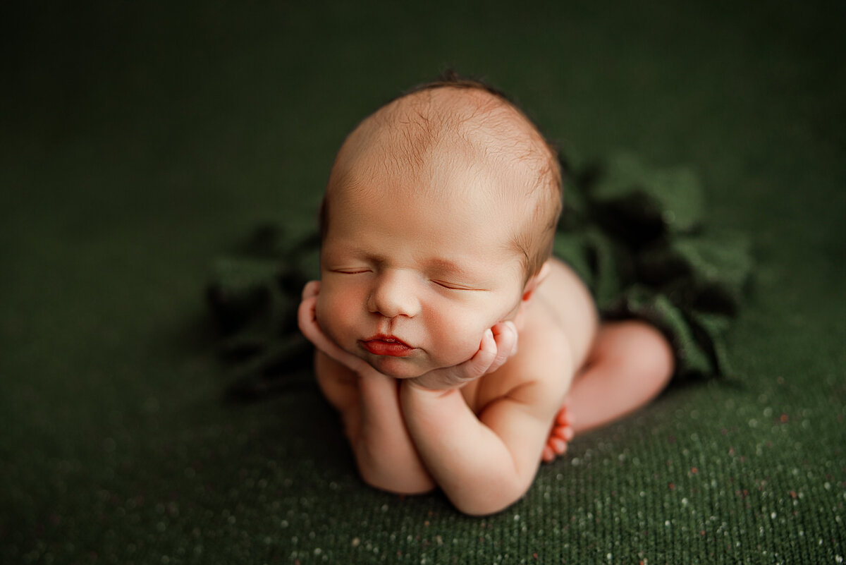 baby photography huntsville