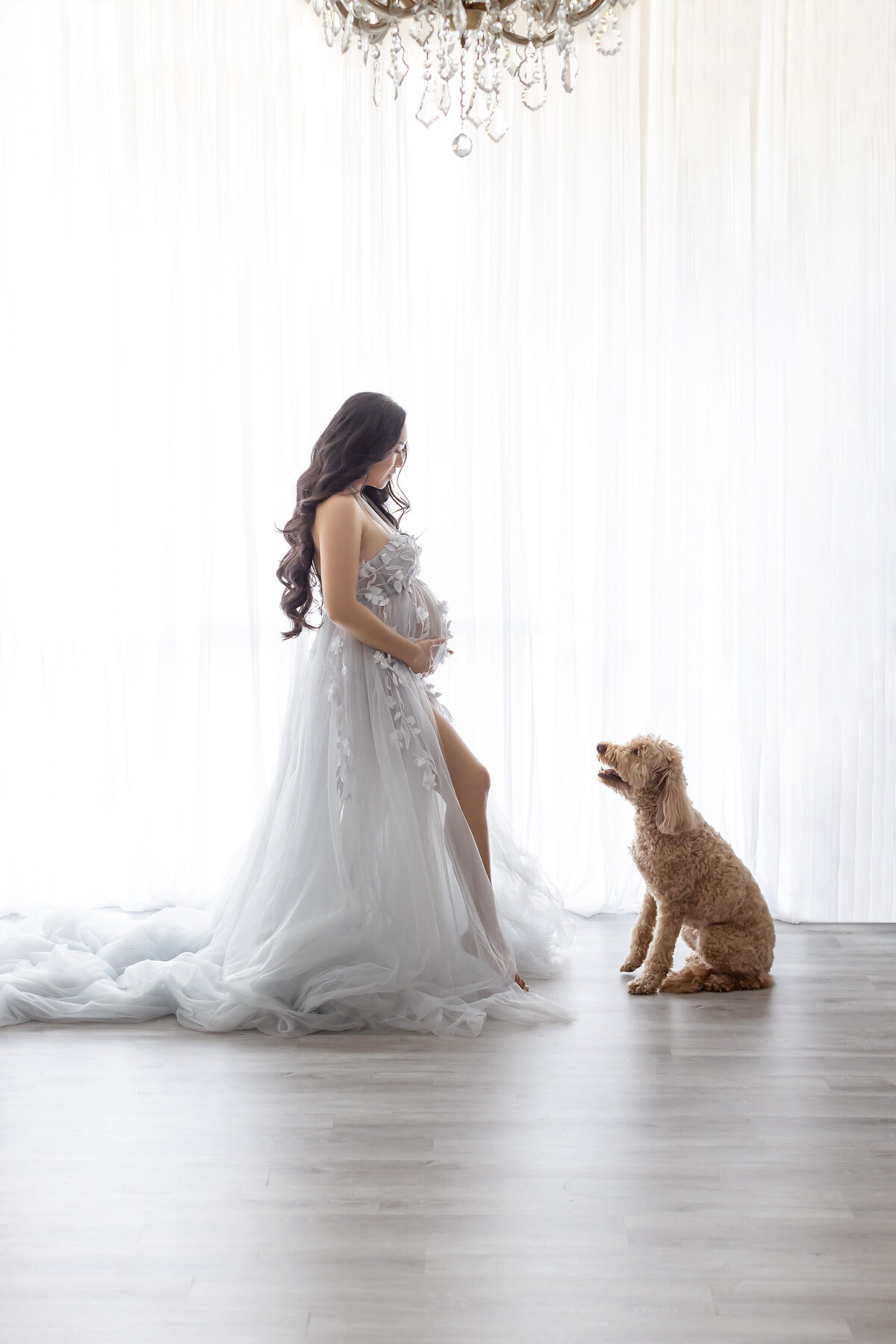 Ethereal backlit photo of a pregnant woman in a soft blue tulle gown holding her baby and facing her adorable dog that is sitting staring up at her.